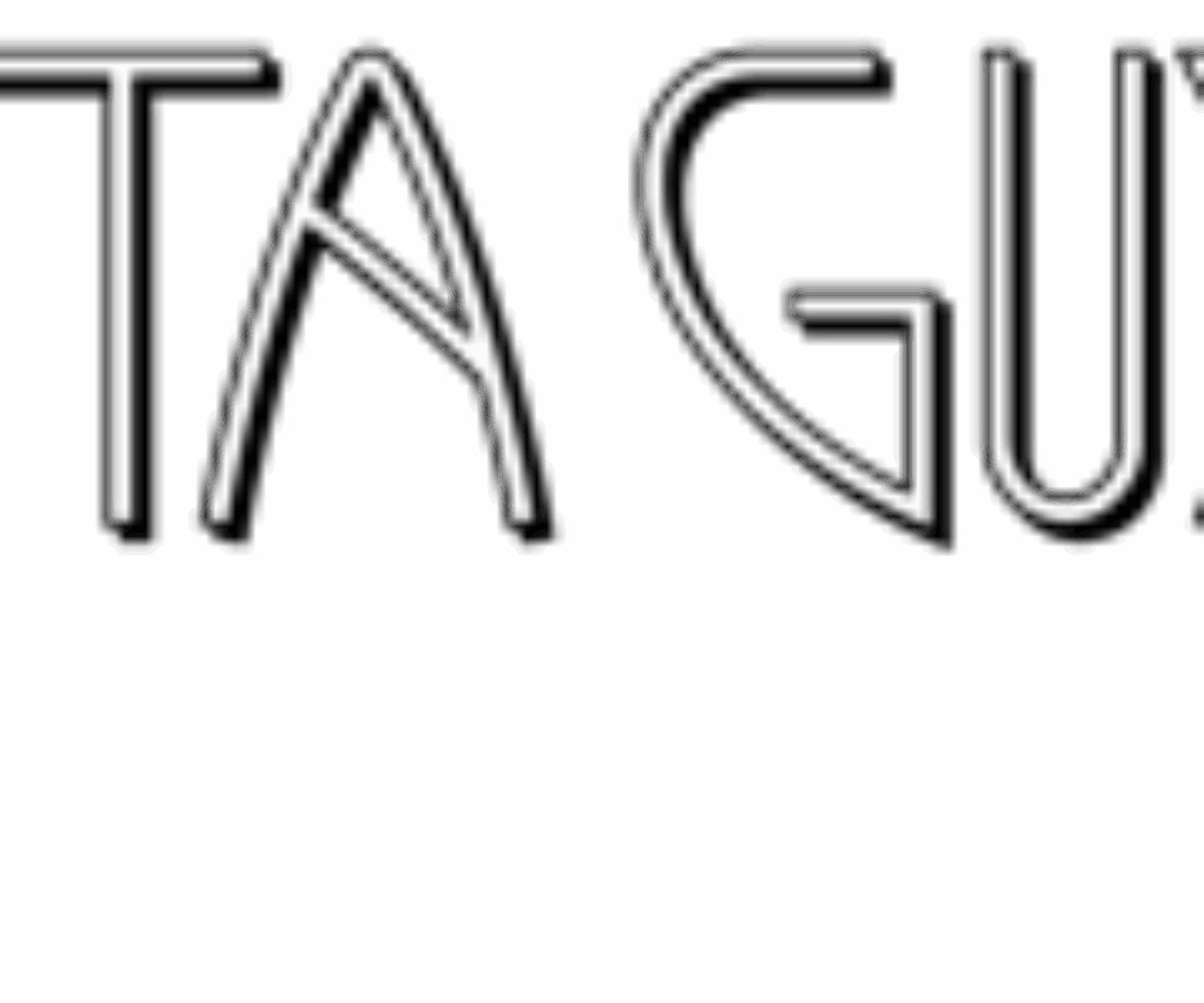 Text reading 'VITA GUY' in a stylized white font on black.