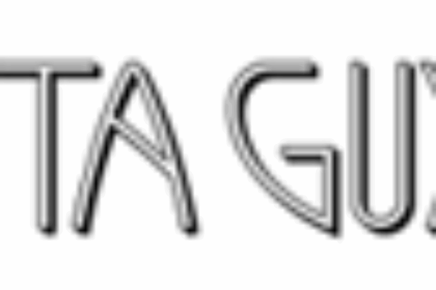 Logo with stylized text 'PITA GUYS' in black.